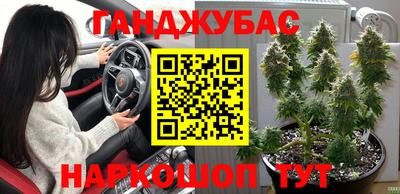 стаф Бузулук