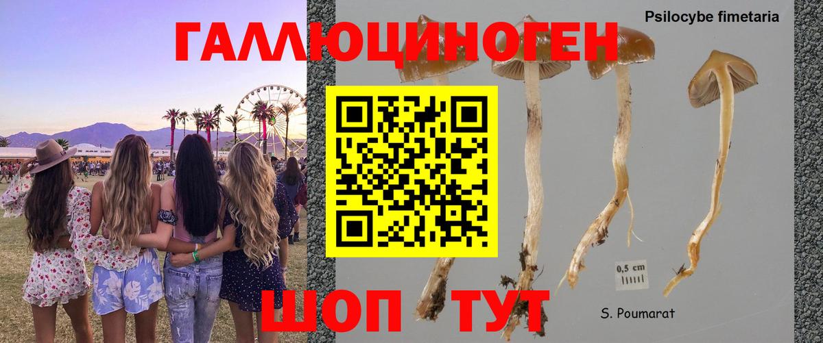 Мончегорск  Псилоцибиновые грибы мицелий  хочу наркоту  Псилоцибиновые грибы Magic Shrooms  Вход с VPN 